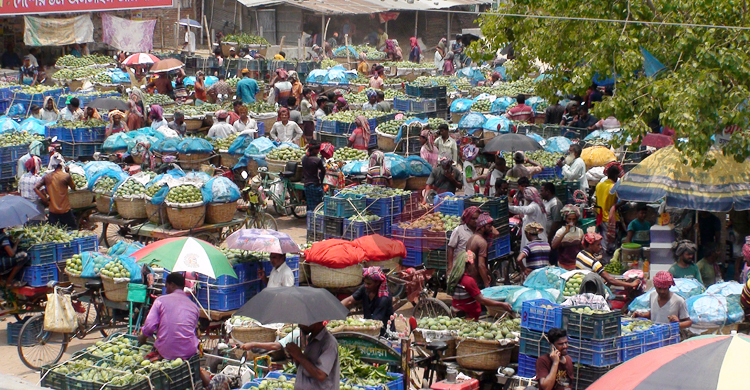 দৈনিক ৩০-৪০ কোটি টাকার আম বিক্রি হয় কানসাট বাজারে