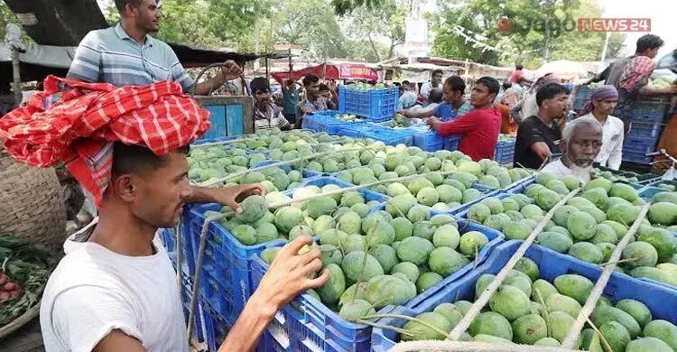 আম ব্যবসায়ীদের সুবিধায় চার জেলায় শনিবারও খোলা থাকবে ব্যাংক