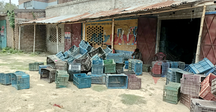 প্রস্তুত হচ্ছে আড়ত, শিগগির জমবে কানসাটের আমবাজার