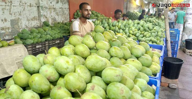 আমে চাঙা উত্তরাঞ্চলের অর্থনীতি, জীবিকায় জড়িত লাখো মানুষ