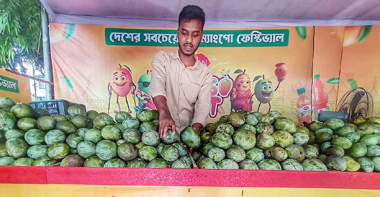 রবীন্দ্র সরোবরে শুরু হলো প্রাণের ‘ম্যাংগো ফেস্টিভ্যাল’