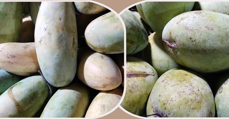মৌসুম শেষে বাড়ছে দেশি আমের দাম