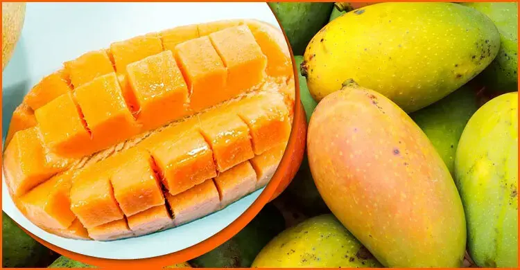 আম খেলে কি সত্যিই ওজন বাড়ে?