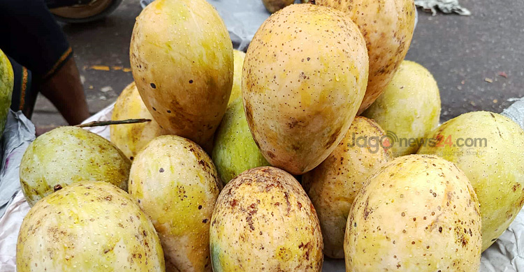 দীর্ঘ হচ্ছে আমের মৌসুম, শেষ দিকে দামও চড়া