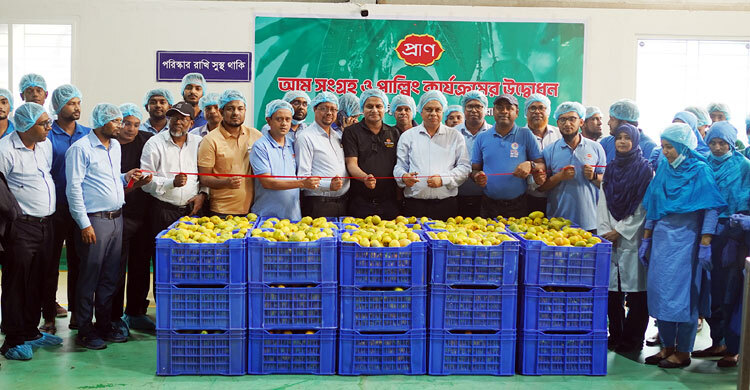 প্রাণ-এর আম সংগ্রহ শুরু