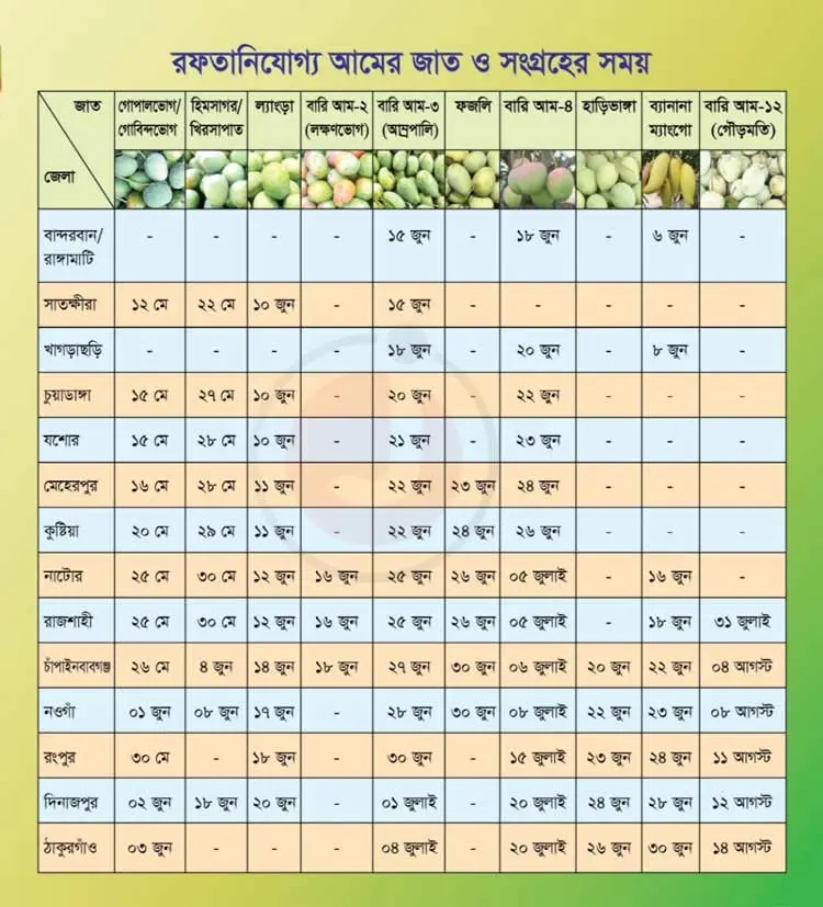 দেশের কোথায় কবে পাড়া হবে কোন জাতের আম?