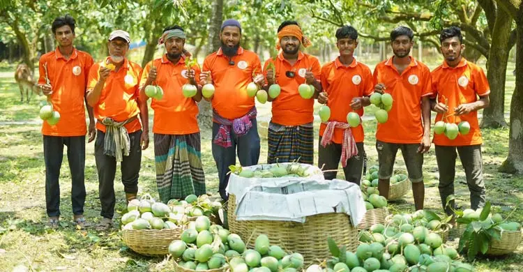 অনলাইনে বাড়ছে ফল বিক্রির জনপ্রিয়তা, বাড়ছে কর্মসংস্থান