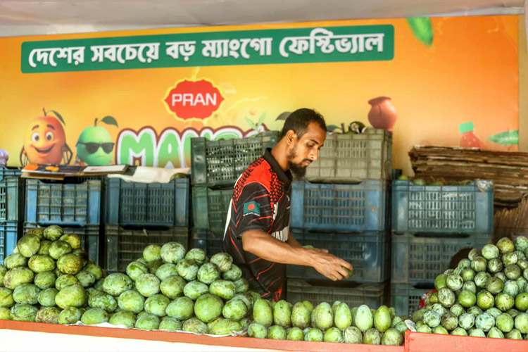 রবীন্দ্র সরোবরে শুরু হলো প্রাণের ‘ম্যাংগো ফেস্টিভ্যাল’