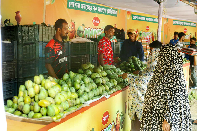 রবীন্দ্র সরোবরে শুরু হলো প্রাণের ‘ম্যাংগো ফেস্টিভ্যাল’