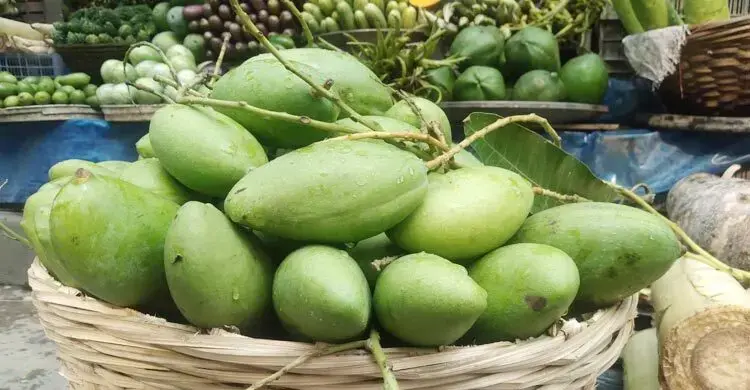জানেন কাঁচা আম খেলে শরীরে কী ঘটে?
