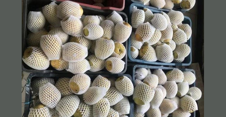 Rajshahi’s mangoes exported to Russia for the first time