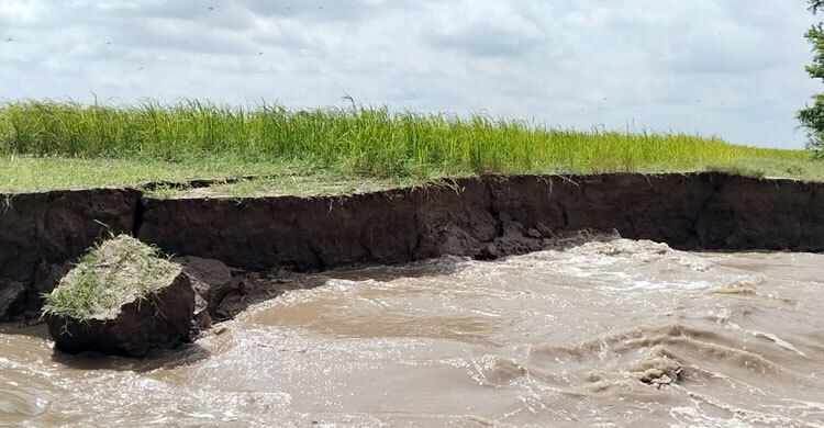 পদ্মা-যমুনার ভাঙনে ভিটেমাটি হারাচ্ছে হাজারো মানুষ