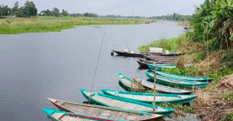 মানিকগঞ্জের খালে কুমির আতঙ্ক