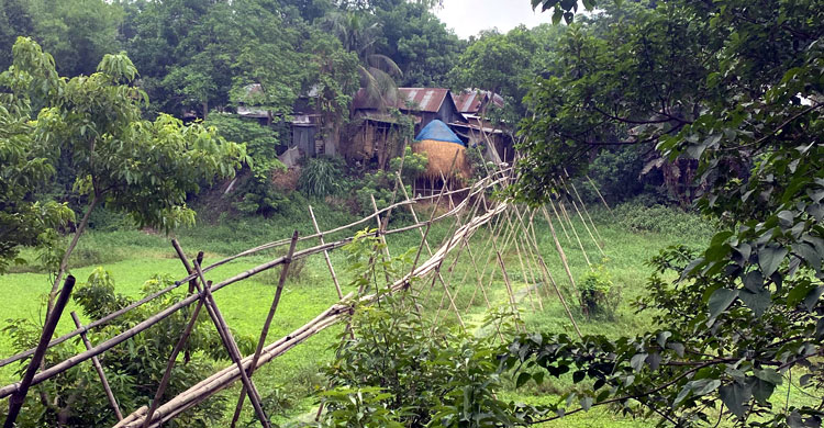 এক বাঁশের সাঁকোই সাত গ্রামের ভরসা