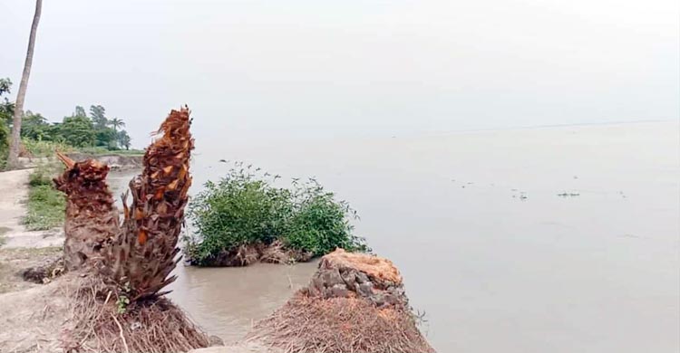 নদীবেষ্টিত জেলা মানিকগঞ্জ। পদ্মা যমুনা কালীগঙ্গা ধলেশ্বরী ইছামতি ও গাজীখালীসহ মোট ১৪ টি নদী রয়েছে এ জেলায়