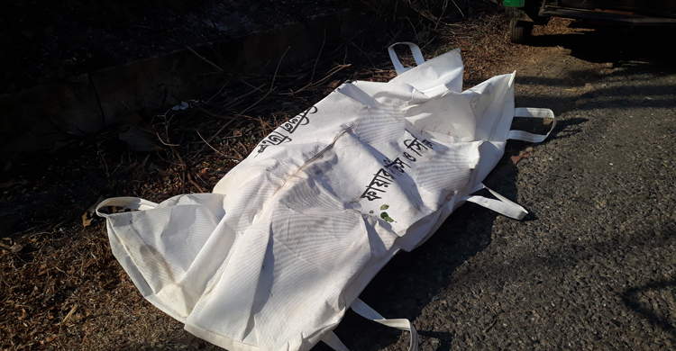 জমি নিয়ে দ্বন্দ্বে ছোট ভাইয়ের হাতে বড় ভাই খুন