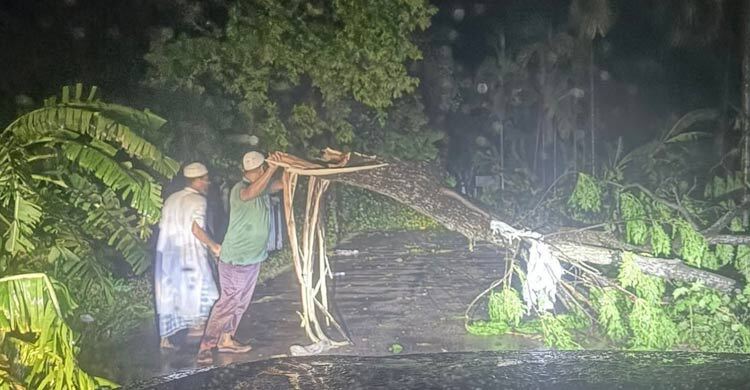 চাঁদপুরে ঝড়ের তাণ্ডবে বিদ্যুৎ বিচ্ছিন্ন, ব্যাপক ক্ষয়ক্ষতি