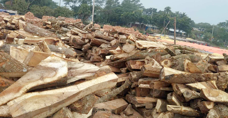 ইটভাটায় কাঠ পোড়ানোর দায়ে তিন লাখ টাকা জরিমানা