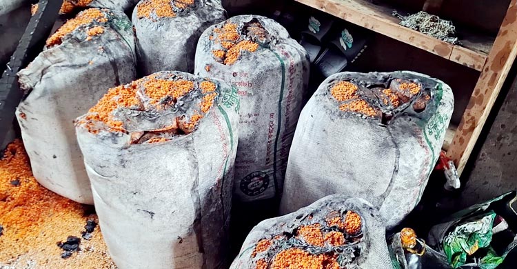 টিসিবির গোডাউনে আগুন, ১০ লাখ টাকার মালামাল পুড়ে ছাই