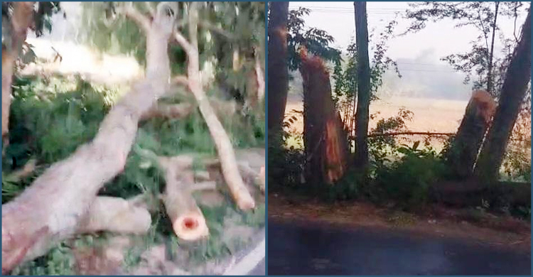 ঢাকা-বরিশাল মহাসড়ক অবরোধ করে মাদারীপুরে আ’লীগের মিছিল