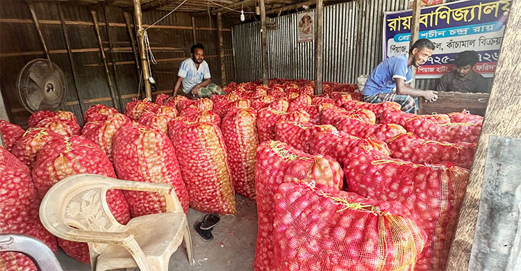 এক মণ পেঁয়াজের দামে মিলছে এককেজি গরুর মাংস