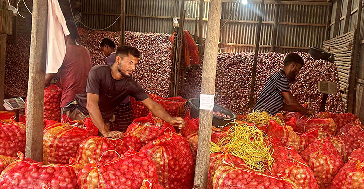 এক মণ পেঁয়াজের দামে মিলছে এককেজি গরুর মাংস
