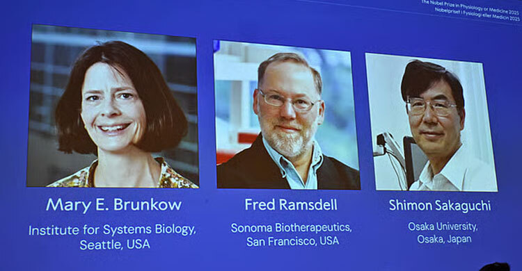 চিকিৎসায় নোবেল পেলেন যুক্তরাষ্ট্র-জাপানের তিন গবেষক