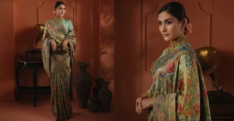 নজরকাড়া মেহজাবীনের অ্যাওয়ার্ড নাইট লুক