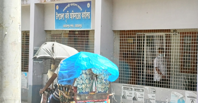 মেহেরপুরে প্রণোদনার পেঁয়াজ বীজ ক্রয়-বিতরণে অনিয়মের অভিযোগ