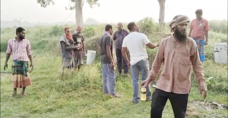 মেহেরপুরের বারাদি বিএডিসি বীজ উৎপাদন খামারের বৈদ্যুতিক সেচযন্ত্রের ট্রান্সফরমার চুরির ঘটনা ঘটেছে