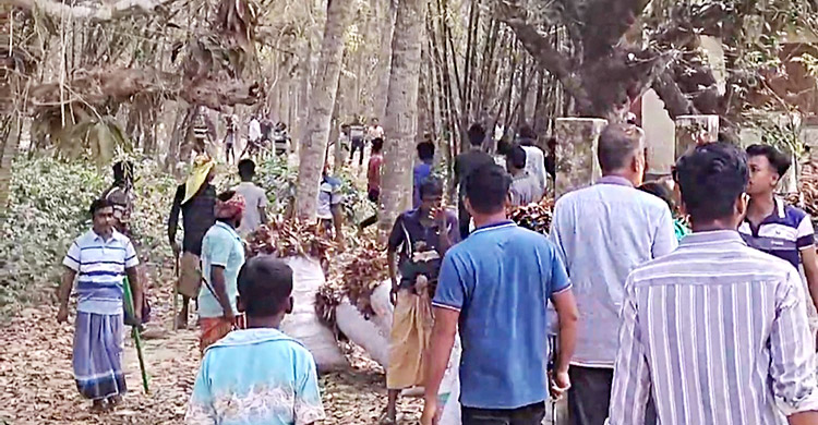 পলাতক ইউপি চেয়ারম্যানের চেয়ার দখল নিয়ে বিএনপির দু&rsquo;পক্ষের সংঘর্ষ