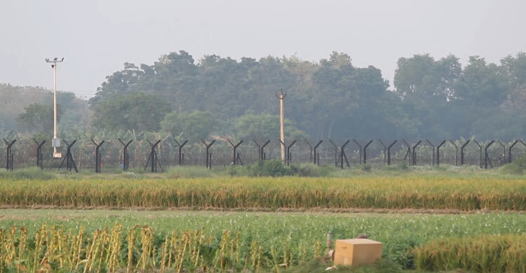 মেহেরপুর সীমান্তে আটক বাংলাদেশিকে ফেরত দিলো বিএসএফ