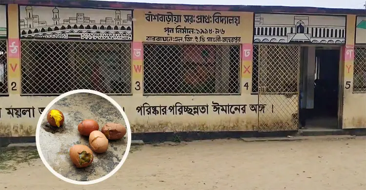 স্কুল ফিডিংয়ে শিশুদের দেওয়া হয় পচা ডিম-ছত্রাকযুক্ত পাউরুটি