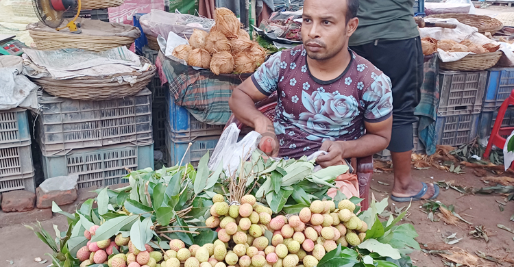 ধান-গমের জমিতে চাষ হচ্ছে আম-লিচু-ড্রাগন