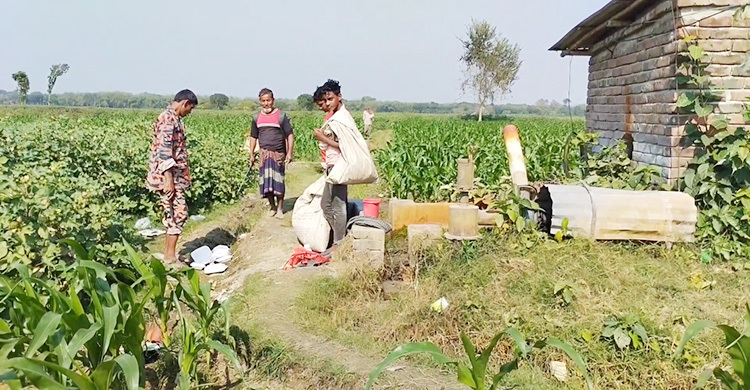 মেহেরপুর এক রাতেই ৬ ট্রান্সফরমার চুরি, বিপাকে কৃষক