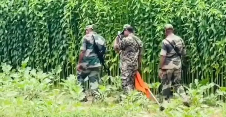 মেহেরপুর সীমান্তে রাস্তা পাকাকরণ ঘিরে উত্তেজনা
