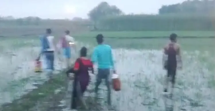 সীমান্তে বিএসএফের পুশ-ইন চেষ্টা, ঠেকাল বিজিবি