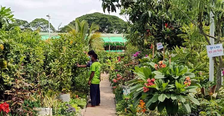 বৃক্ষমেলায় পৌনে ১৫ কোটি টাকার গাছ বিক্রি