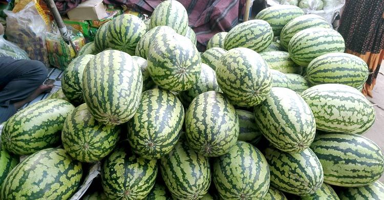 ময়মনসিংহে তরমুজের কেজি ৯০ টাকা