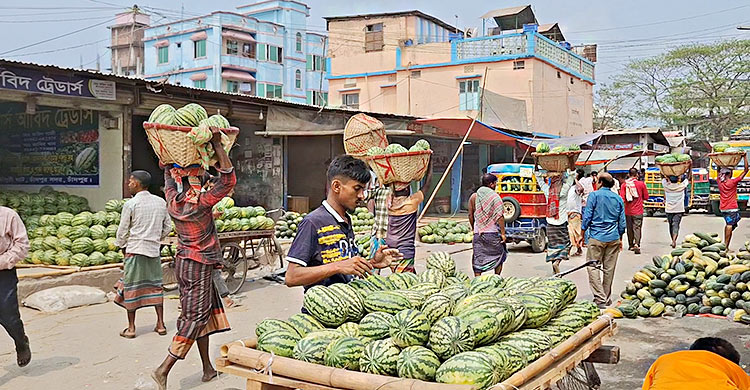 চাঁদপুর ঘাটে আসছে অপরিপক্ব তরমুজ, যাচ্ছে দেশের বিভিন্ন প্রান্তে