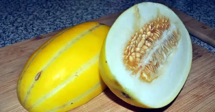 বাঙ্গি কেন খাবেন?