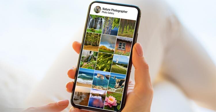 আপনার গ্যালারির সেরা ছবি খুঁজে দেবে মেটা