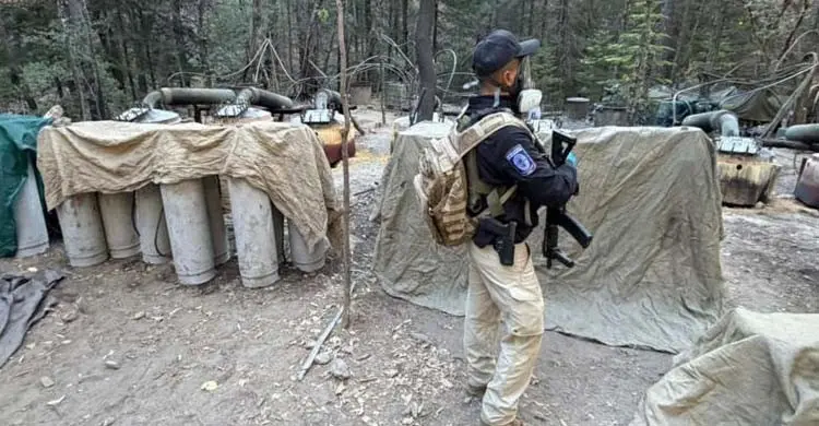 মেক্সিকোতে সড়ক দুর্ঘটনায় মার্কিন দূতাবাসের ২ কর্মকর্তাসহ নিহত ৪