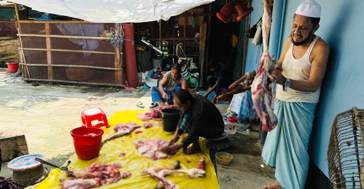 সড়ক-আঙিনায় কোরবানির ব্যস্ততা