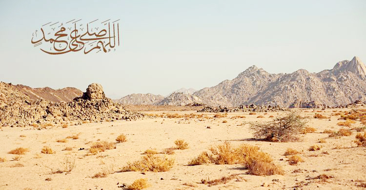 মুহাম্মাদের (সা.) জন্মের সময় যা ঘটেছিল