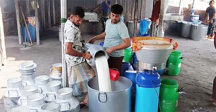 ডেইরি উন্নয়ন বোর্ড কী কী কাজ করবে?