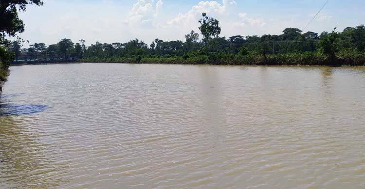 আজও শুকায়নি বন্যার ক্ষত, পুঁজি হারিয়ে দিশাহারা মাছচাষিরা