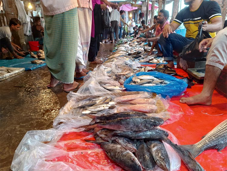 মুরগিতে বেড়েছে ২০ টাকা, কাঁচামরিচে দেড়শ
