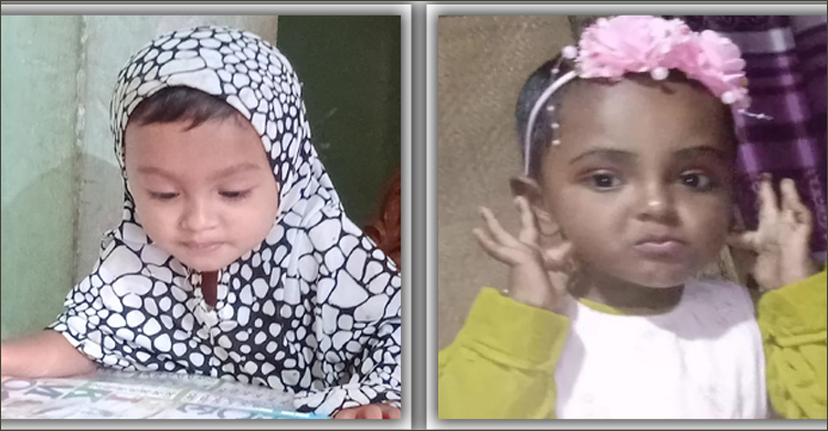 মিরসরাইয়ে পুকুরে ডুবে দুই শিশুর মৃত্যু