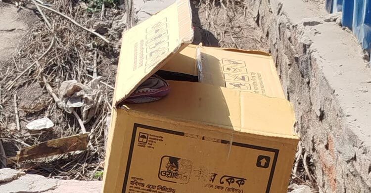 বিস্কুটের কার্টনের ভেতরে মিললো নবজাতকের মরদেহ